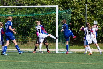 Bild 224 - B-Juniorinnen SV Henstedt Ulzburg - FSC Kaltenkirchen : Ergebnis: 3:2